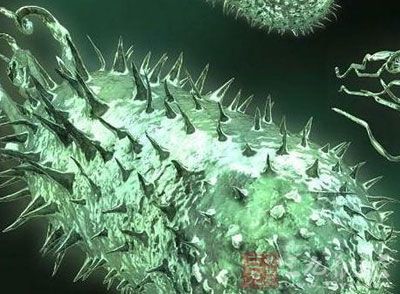 《善始善终》方寒是谁?他的结局是什么?“华体会体育hth官方网站”(图2) 华体会体育hth官方网站