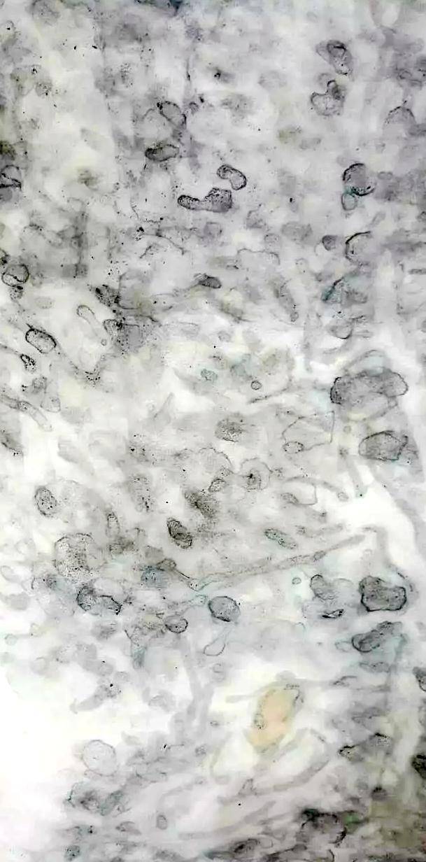 淘宝直播新店咋直播的?淘宝直播新店零粉丝怎么操作?宸铠卡卡“华体会体育hth官方网站”(图6) hth官网入口