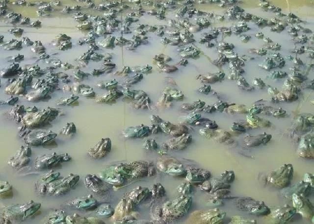 华体会体育hth官方网站_大宋少年志帝江扮演者是谁 帝江为什么一直戴着面具(图2) hth官网入口