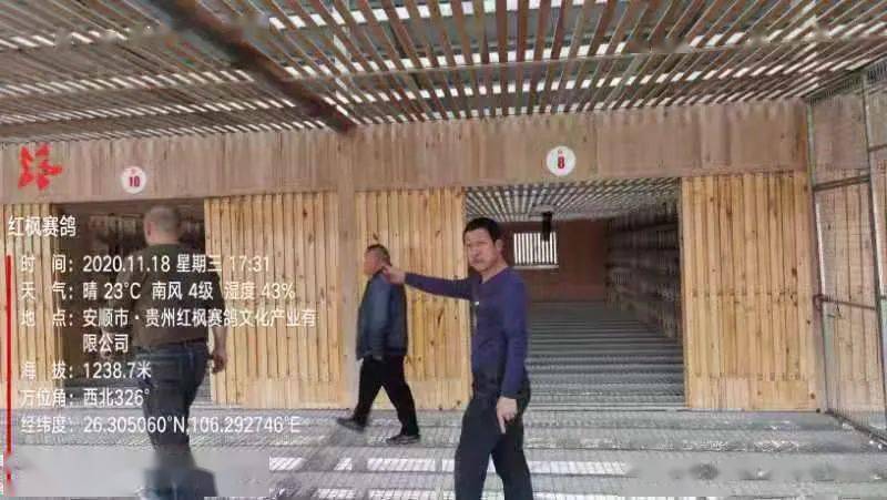 
红枫大棚第四关加站赛集鸽现场视频及图片：华体会体育hth官方网站(图27)