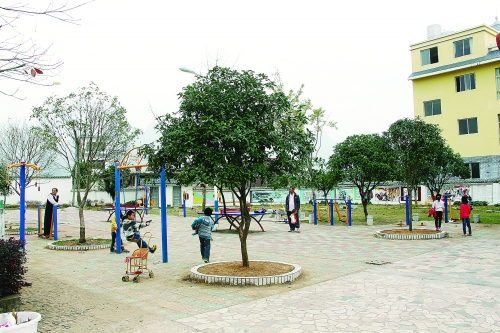 郑州市金水区第二实验小学:这节课搬到了甘蔗地里|hth官网入口(图1) 华体会体育hth官方网站