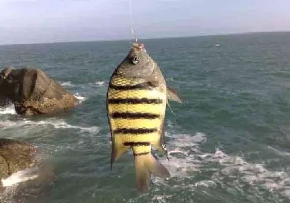 【华体会体育hth官方网站】我的恶魔少爷最新剧透:韩七录与安初夏床咚,甜到炸裂(图2) 华体会体育hth官方网站