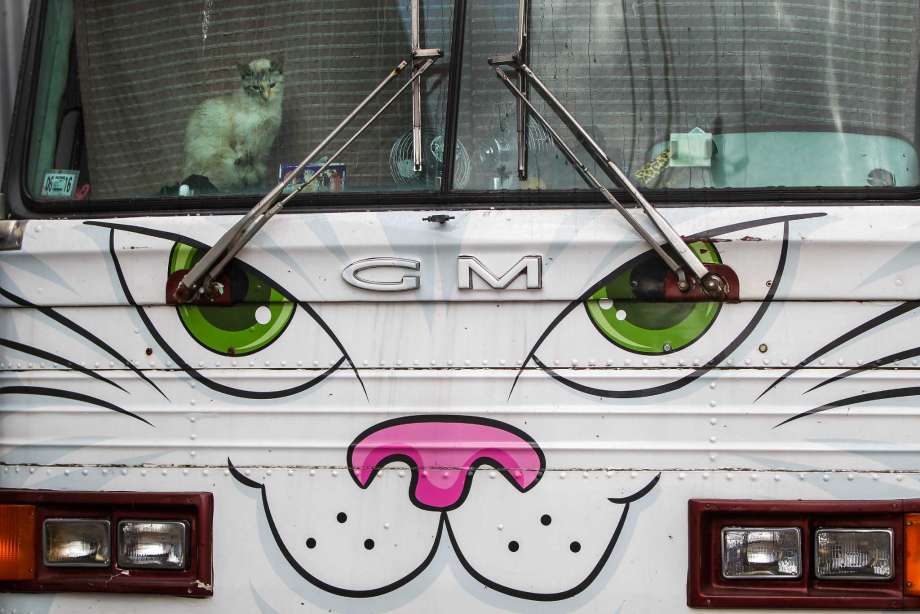 hth官网入口-源汇区受降路小学召开2019—2020学年第一学期期末工作总结会(图2) hth官网入口