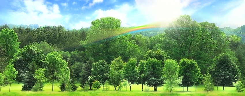 hth官网入口-李冰等荣获镇平县雪枫中学第五届“课改标兵”称号(图1) hth官网入口