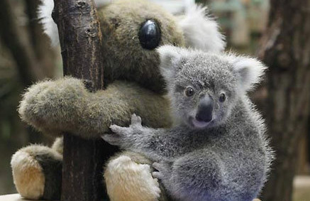 阿迪达斯全新X GHOSTED.1足球鞋曝光|hth官网入口(图1) 华体会体育hth官方网站