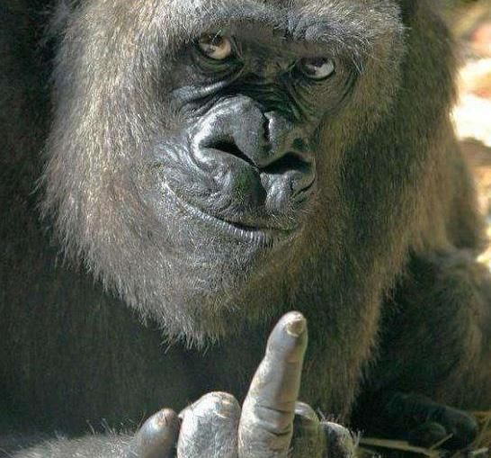 《九千米爱情》林恕喜欢谁?最后和谁在一起了?_华体会体育hth官方网站(图4) hth官网入口