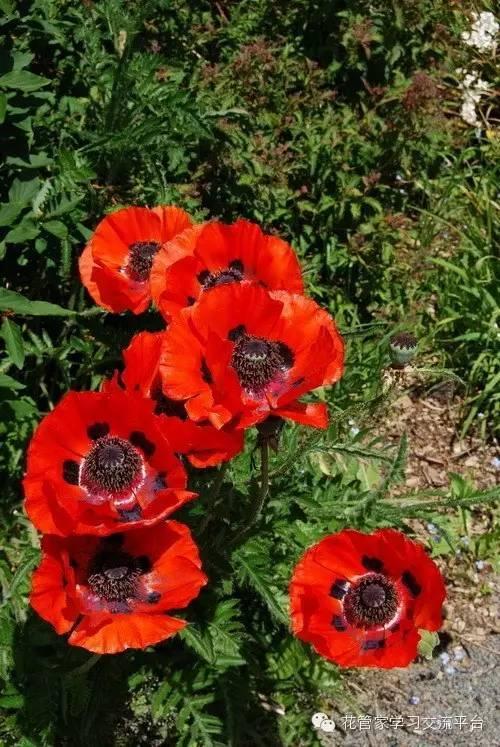 华体会体育hth官方网站