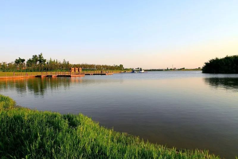 18X游戏其实就是一个学习英语的APP?沙雕疑惑游戏真让人上头-hth官网入口(图2) hth官网入口