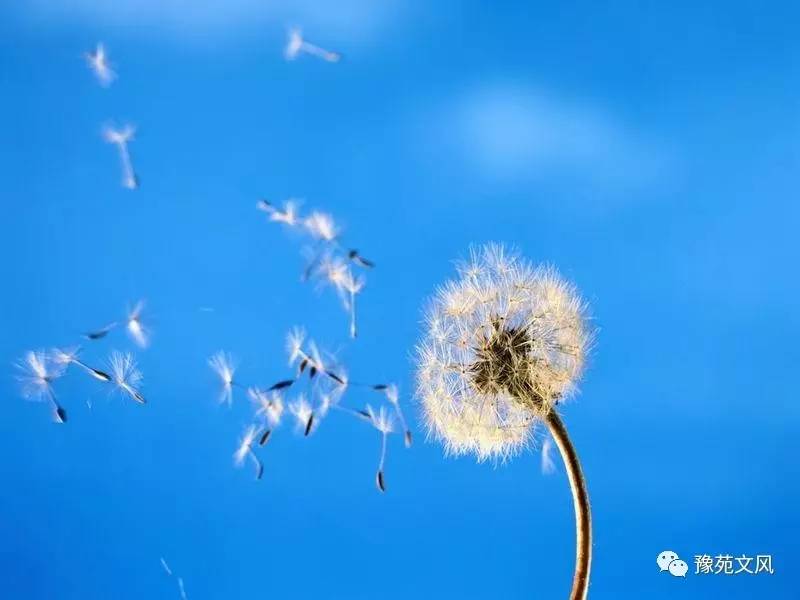 郾城区商桥镇中心小学举行学雷锋讲文明演讲比赛|hth官网入口(图3) 华体会体育hth官方网站