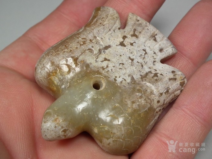 爱情进化论电视剧定档六月 张天爱与两大男神搭戏:hth官网入口(图3) 华体会体育hth官方网站