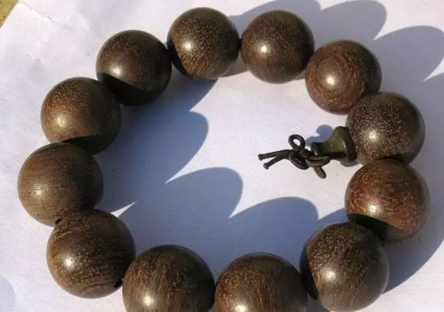 ‘华体会体育hth官方网站’天使进校园培训保安康(图1) 华体会体育hth官方网站