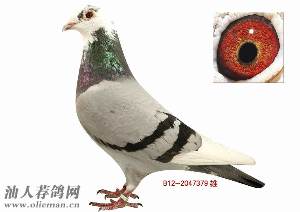 《拜托了冰箱》穿着高跟鞋奔跑的戚薇 冰箱里竟全是香水:华体会体育hth官方网站(图1) 华体会体育hth官方网站