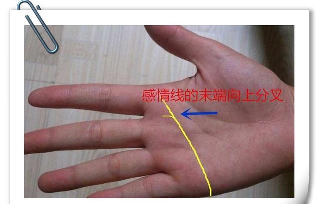 hth官网入口-2018天津市汇森中学招生简章-天津小升初(图1) hth官网入口