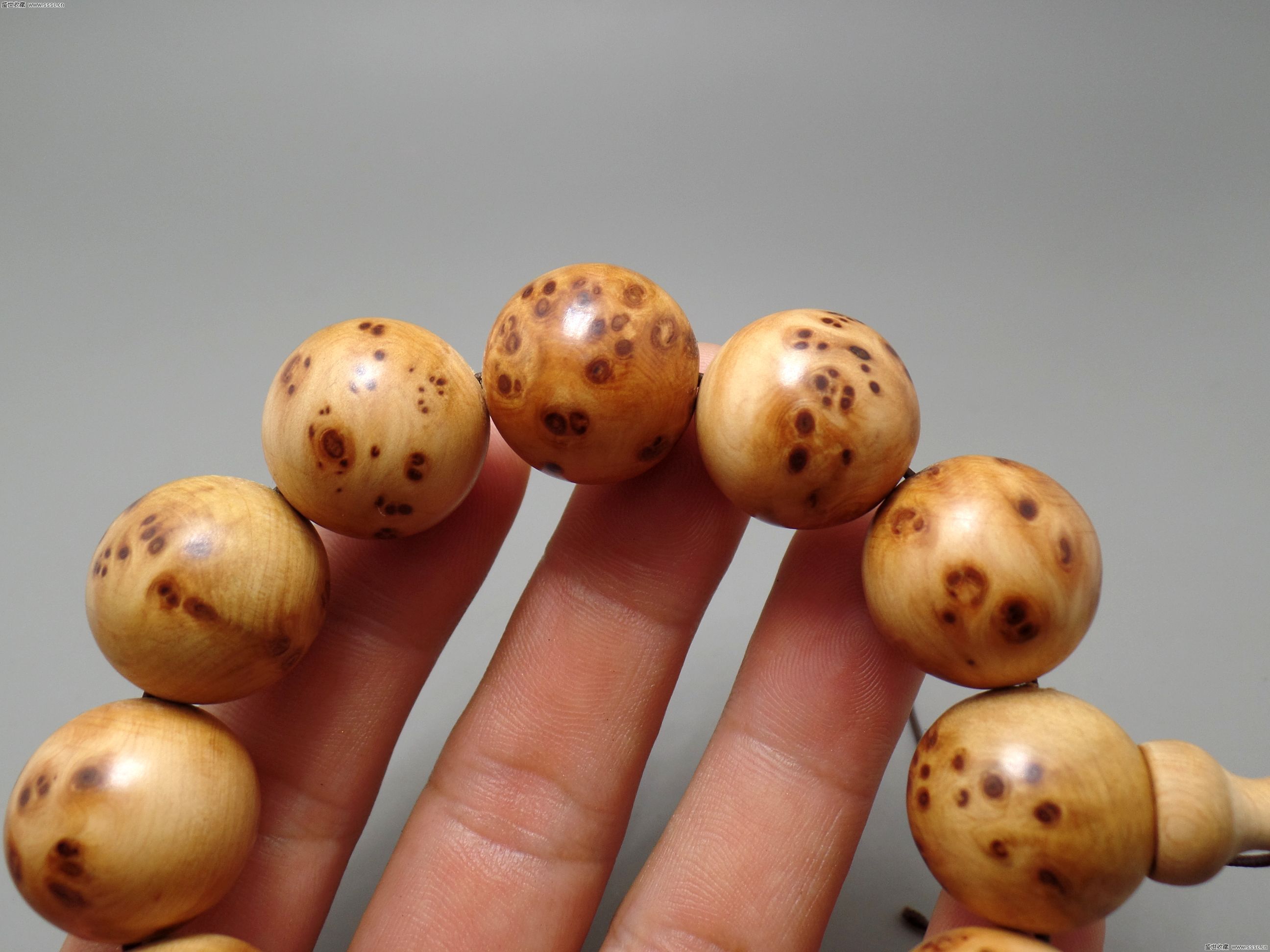 国足或变阵赵旭日搭档郑智 蔡振华张剑飞抵多哈_华体会体育hth官方网站(图3) 华体会体育hth官方网站