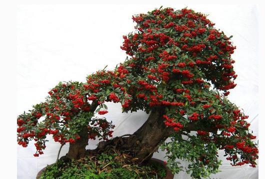 新《倚天》曾舜晞闭关“修炼”,暴风成长终成一代教主-华体会体育hth官方网站(图3) 华体会体育hth官方网站