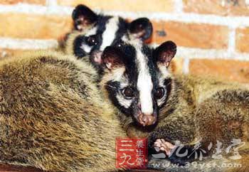 我们的故事|U-23国足队长何超:我没有偶像但我有梦想_hth官网入口(图2) 华体会体育hth官方网站