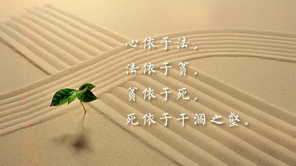 民办进华中学全面招考信息(学校、招生、环境、教学特色等)2013上海普陀区小升初|hth官网入口(图1) hth官网入口