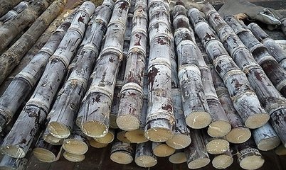 hth官网入口-
穿短裤已经由时了 比短裤更受接待的三分长热裤 学生们很合适(图3) hth官网入口