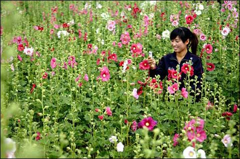 华体会体育hth官方网站