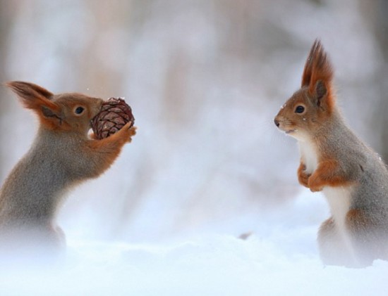 王子祯《流星花园》热播中 欲坑沈月却化身神助攻‘hth官网入口’(图3) 华体会体育hth官方网站