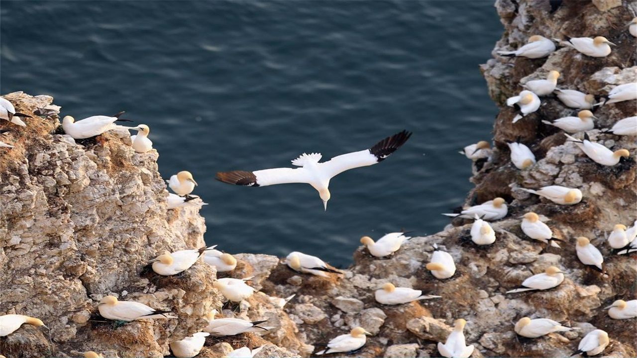 为什么撑起中国足球脸面不是武磊,更不是张玉宁,而是她?“hth官网入口”(图2) hth官网入口