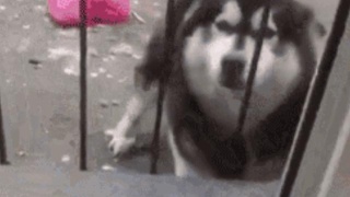 三国机密什么时候更新?每周几更新几集?|华体会体育hth官方网站(图4) hth官网入口