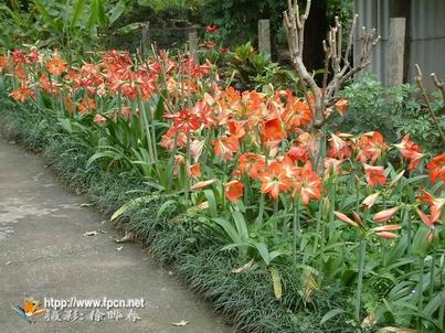 hth官网入口:凉生我们可不可以不忧伤:马天宇饰演史上最悲凉的男主(图2) hth官网入口