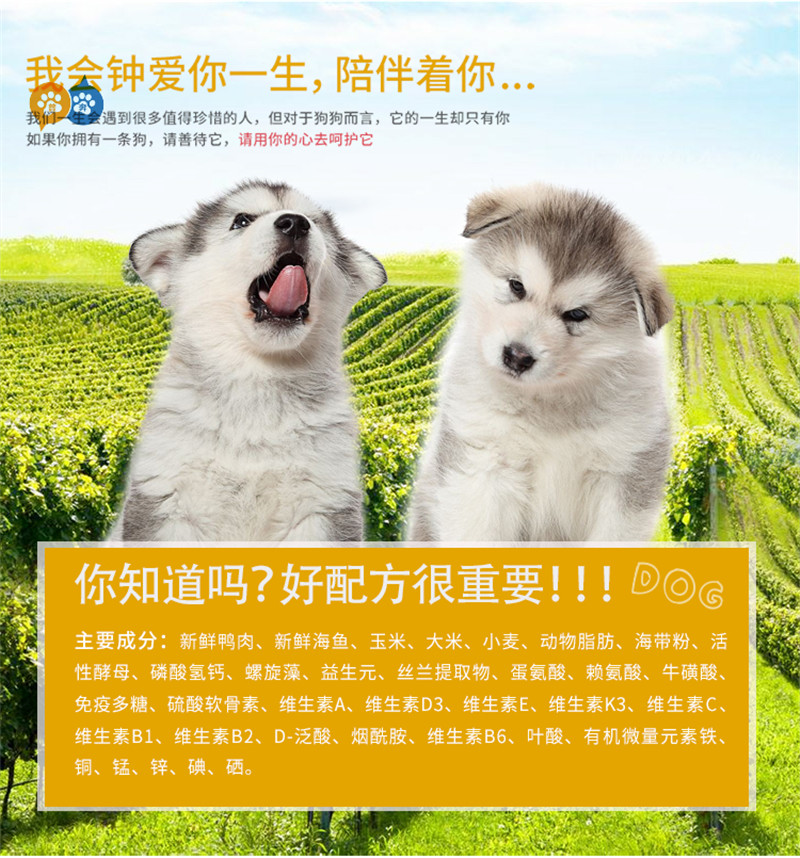 林晓华高洪波带队中国男足月末出访哥斯达黎加‘hth官网入口’(图2) hth官网入口