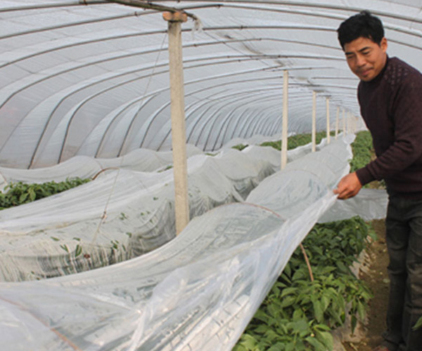 hth官网入口-掌中之物沈知节是傅慎行吗 揭露二人关系及扮演者资料(图2) 华体会体育hth官方网站