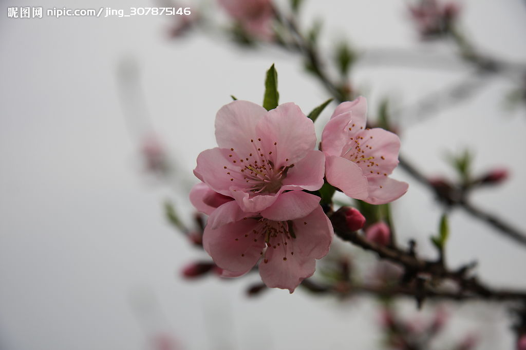 玩拓受邀到场《一拳超人》动画制作!|hth官网入口(图5) 华体会体育hth官方网站