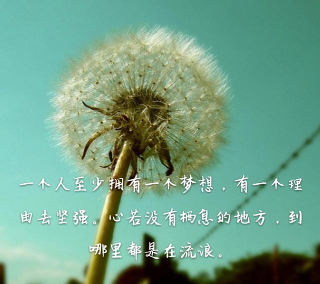 里皮:有球队妨碍国足征召球员 以伤病为由拒绝_华体会体育hth官方网站(图3) hth官网入口