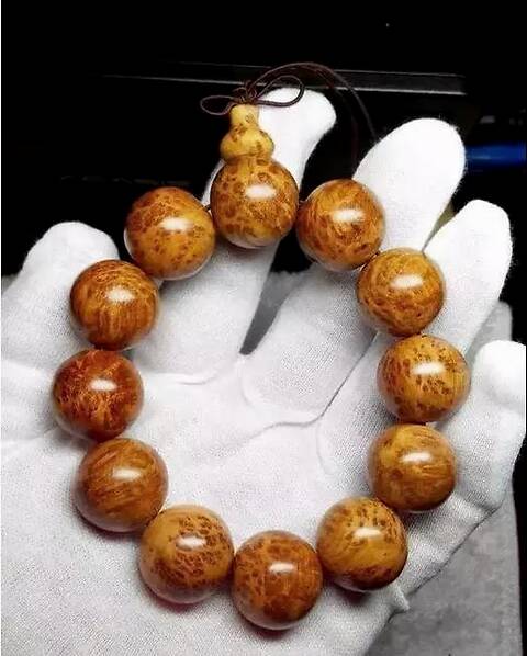 ‘华体会体育hth官方网站’暗恋橘生淮南什么时候更新 播出更新时间介绍(图1) hth官网入口