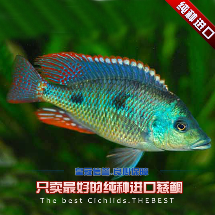 华体会体育hth官方网站