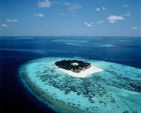 华体会体育hth官方网站