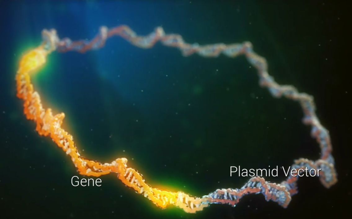 华体会体育hth官方网站