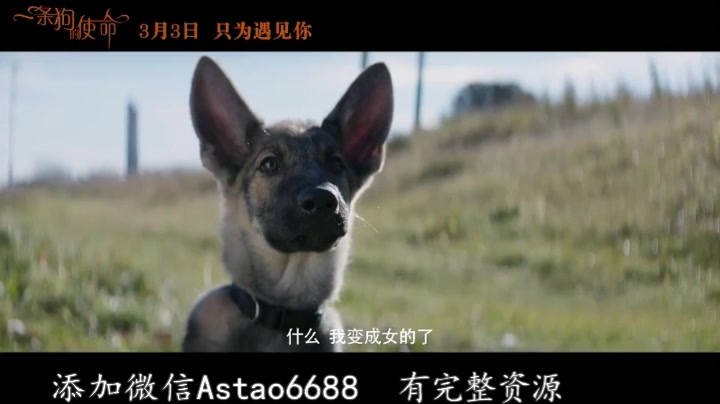 华体会体育hth官方网站