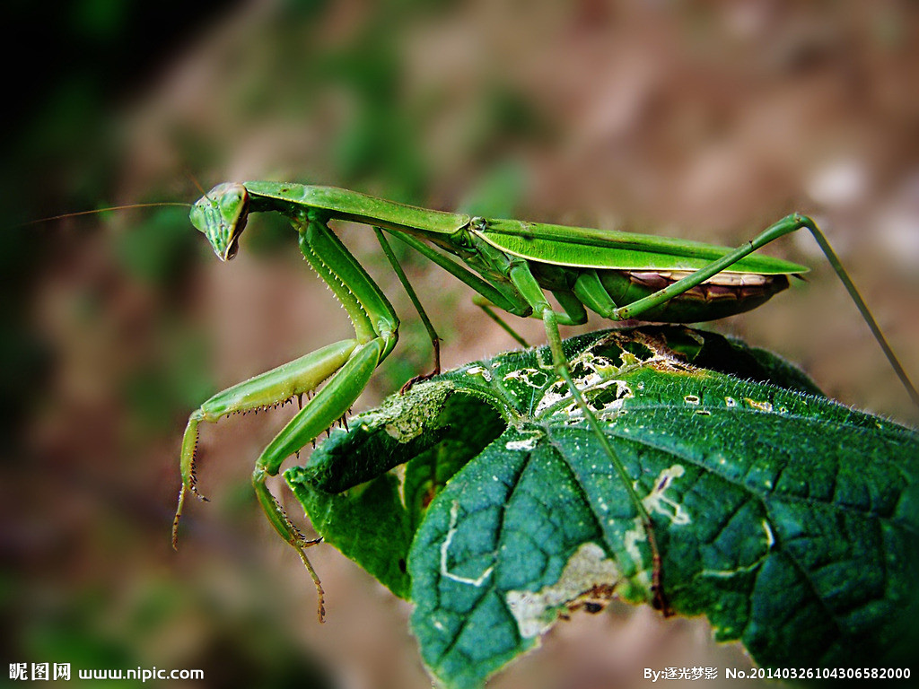 华体会体育hth官方网站