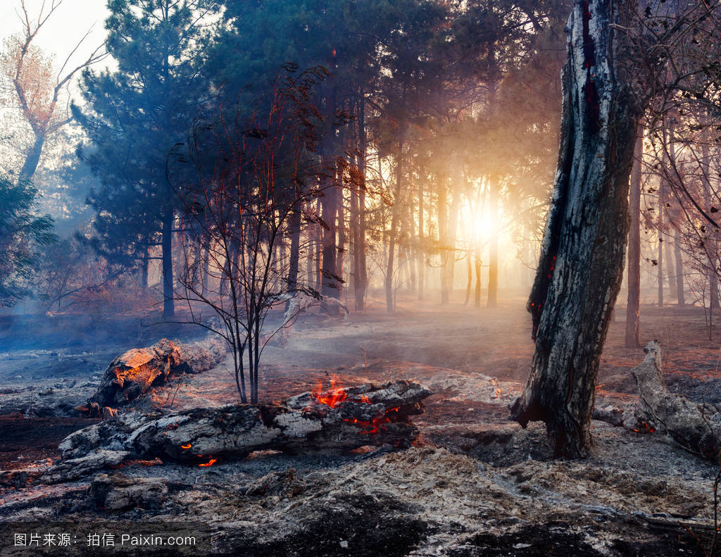《冰糖炖雪梨》廖振羽是谁演的?扮演者秦天宇个人资料【华体会体育hth官方网站】(图3) 华体会体育hth官方网站