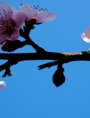 华体会体育hth官方网站