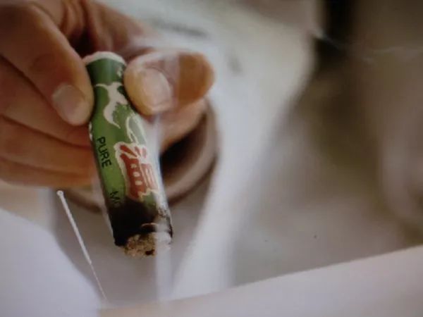 华体会体育hth官方网站:淅川县毛堂小学张鑫:党徽闪闪别样红(图3) hth官网入口