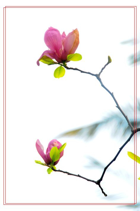 华体会体育hth官方网站