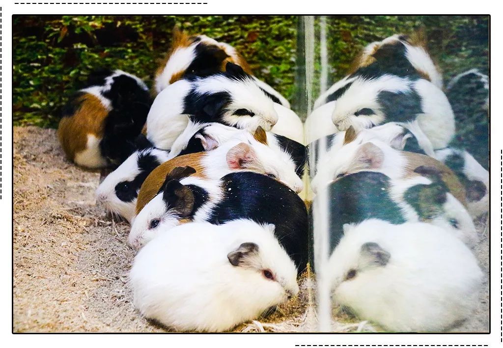 华体会体育hth官方网站