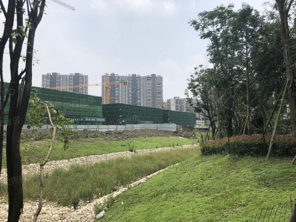 华体会体育hth官方网站