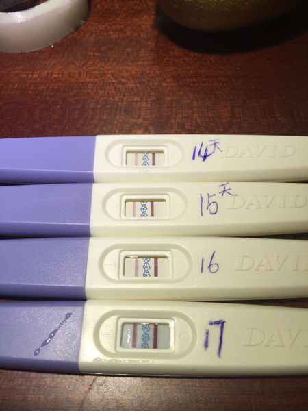 华体会体育hth官方网站