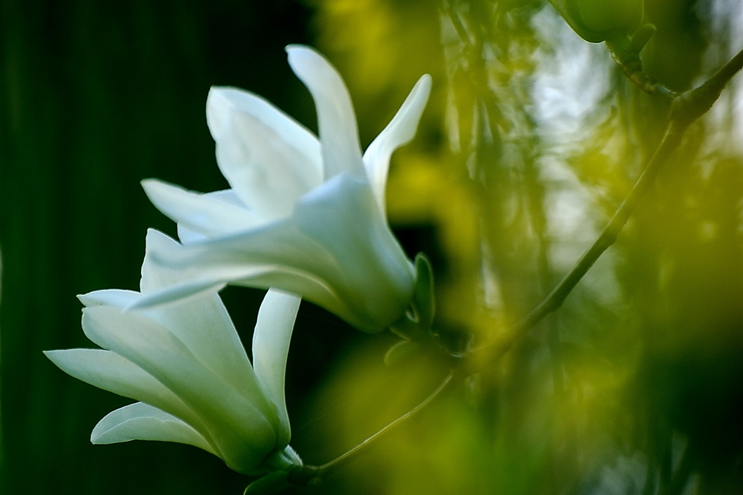 华体会体育hth官方网站