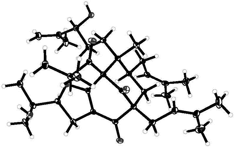 华体会体育hth官方网站
