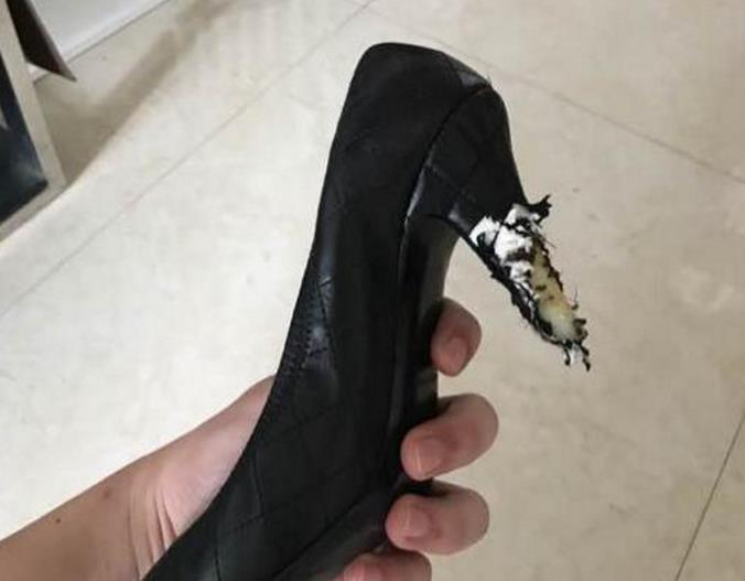 她是日本乒乓球女神 退役后身材二次发育 网友:真的很丰满_hth官网入口(图3) hth官网入口