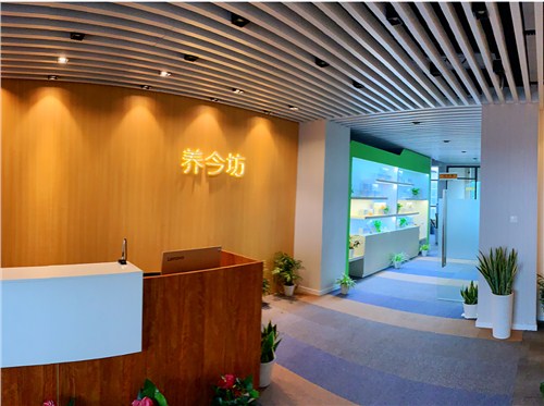 华体会体育hth官方网站