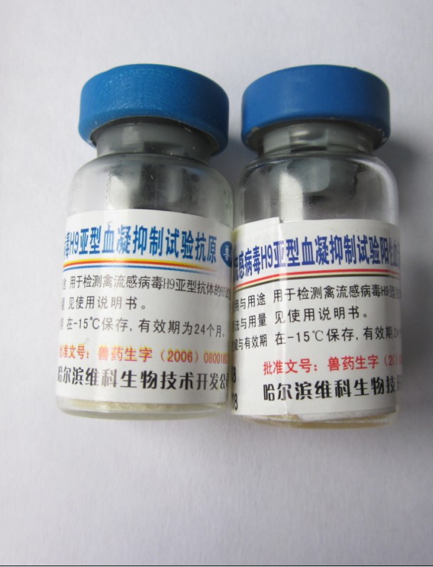 华体会体育hth官方网站