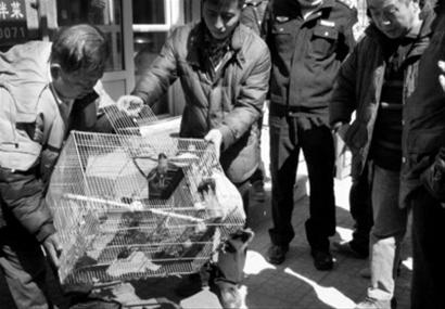 华体会体育hth官方网站